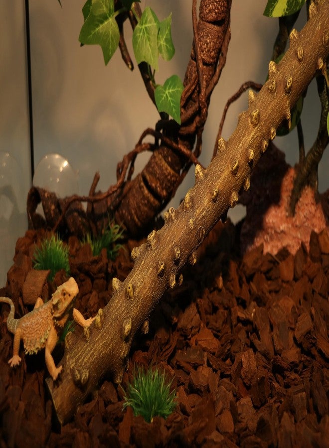 AQUA KT غصن ركن تسلق الزواحف من أكوا كي تي، بتصميم مستوحى من الغابات المطيرة، مناسب لتزيين أحواض الزواحف والثعابين والسحالي وسرطانات الناسك والتنانين الملتحية. - Image 4